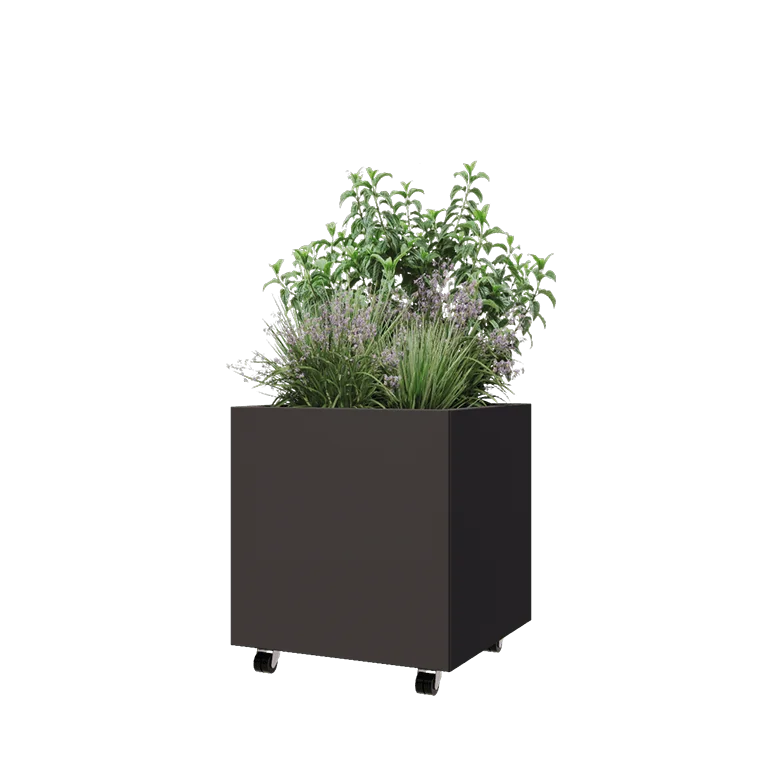 Pflanzkübel aus Stahl - Viereckig - 60 x 60 x 60 cm - RAL7016 matte (anthrazitgrau) - Mit Bodenplatte - Mit Rollen